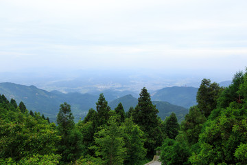 南岳衡山森林风光