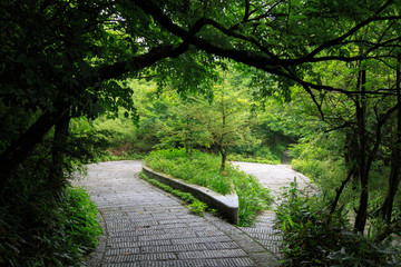 南岳衡山风景区山路