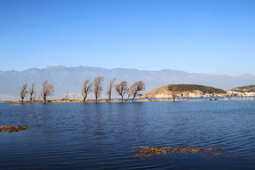 大理洱海风光