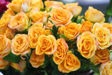 黄玫瑰 蔷薇 黄色玫瑰