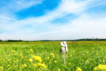 芳草地