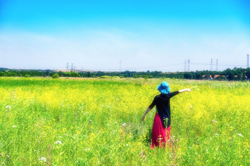 芳草地