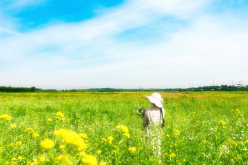 芳草地