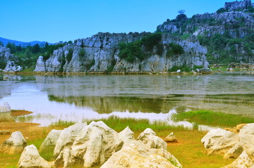 湖泊 湿地 园林