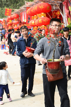 买年花