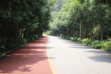 绿荫山道