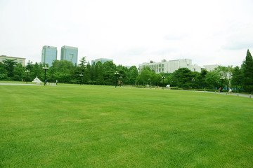 綠樹草地 清華校園風光