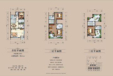 别墅洋房 彩色 平面户型图