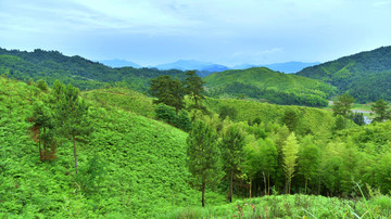 乡村自然风景