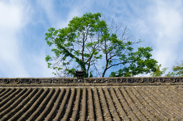 湖北武当山紫霄宫风光