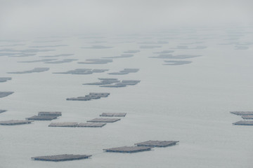 海鲜养殖