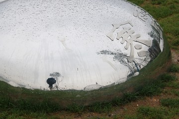 东湖绿道风景