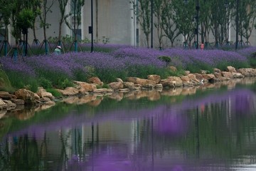 东湖绿道风景