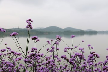 东湖绿道风景