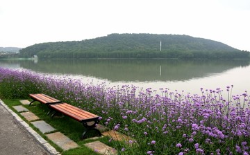 东湖绿道风景