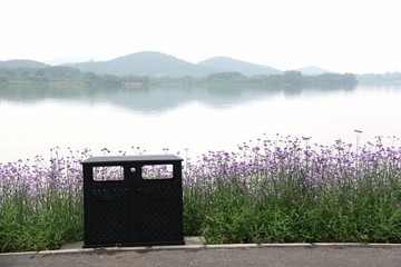 东湖绿道风景