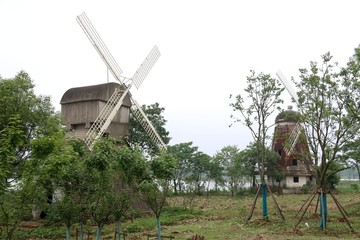 东湖绿道风景