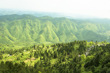 绿色群山