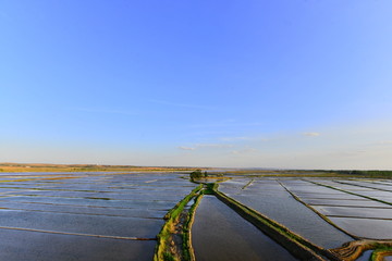 银川平原