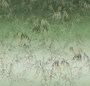 燕麥