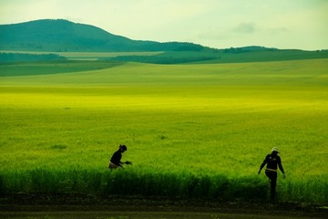 兴安岭麦田