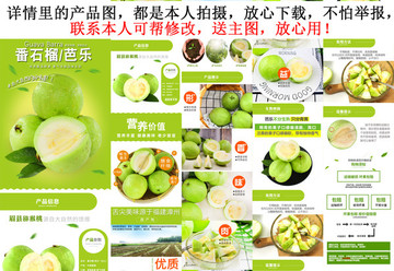 白芭樂詳情