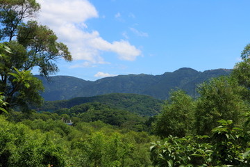 金鸡山公园