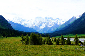 昭苏夏塔夏特古道草原雪山