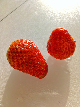 东港草莓