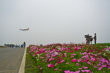 四川双流区空港花田