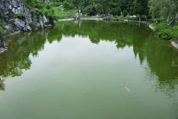 碧绿的池水