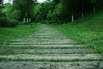 青草地木地板路