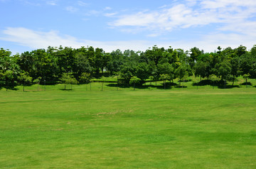 公园草地