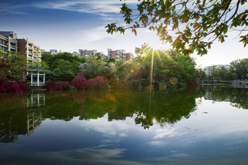 春色滿園