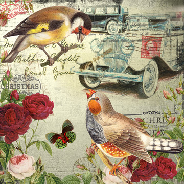 復(fù)古玫瑰花鳥