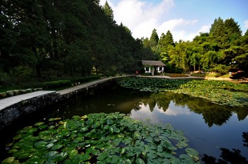 庐山花径