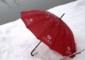 雪地 伞