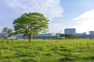 滴水湖西岛