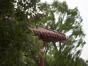 黃河岸邊的涼亭