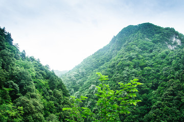 青山绿水