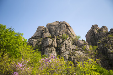 山东 青岛 春天的崂山风光