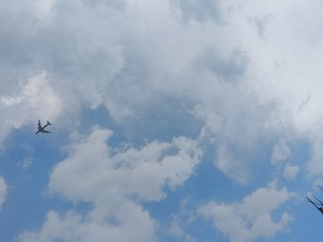 蓝天白云 飞机
