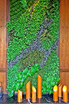 室内植物背景墙