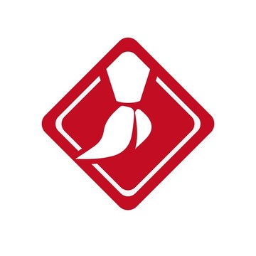 红领巾LOGO