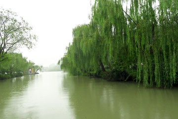 扬州瘦西湖 烟雨扬州