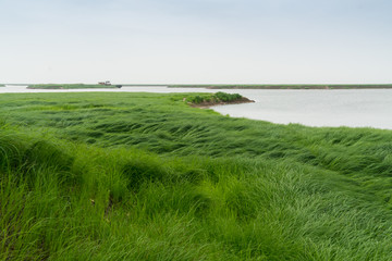 湖区湿地