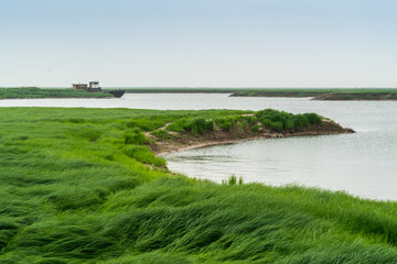 湖区湿地