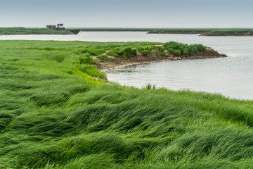 湖区湿地