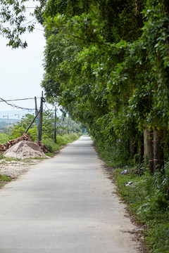 乡村小道