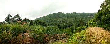 贵州大山风景